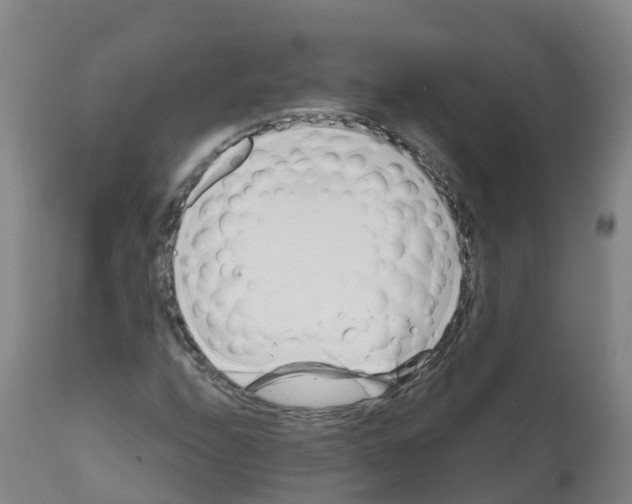 X0000112391208200909241231