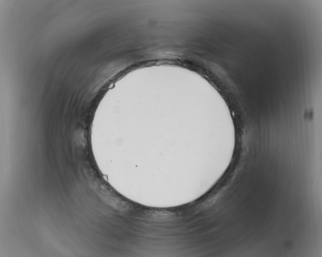 X0000112391209200909241231