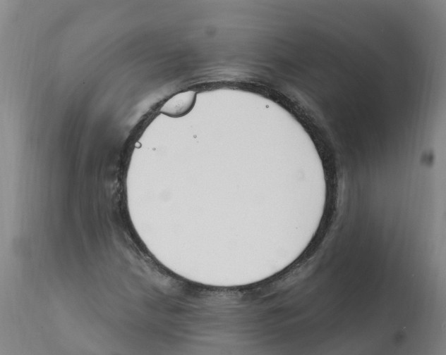 X0000112391210200909241231