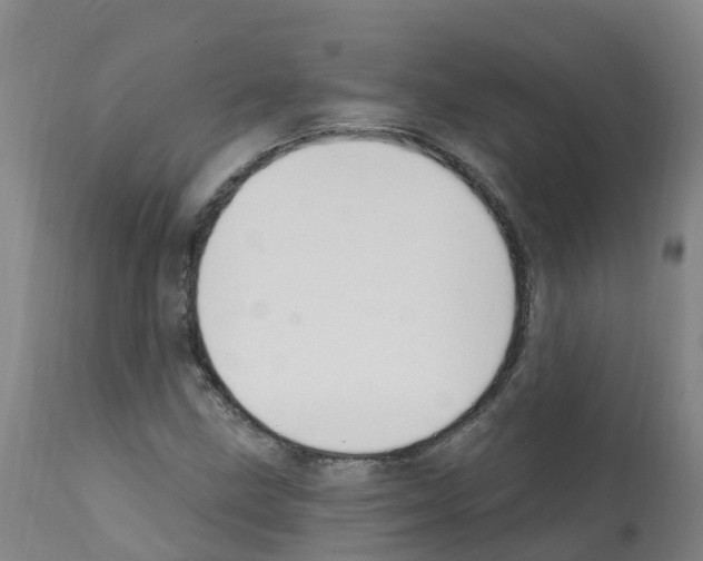 X0000112391211200909241231