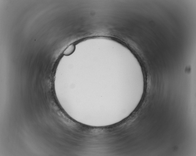 X0000112391212200909241231
