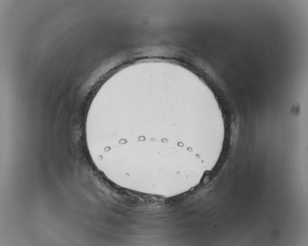 X0000112391213200909241231