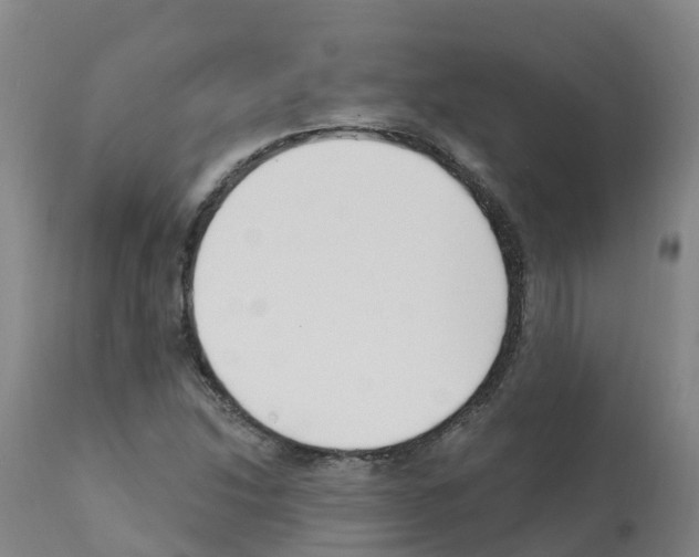 X0000112391214200909241231