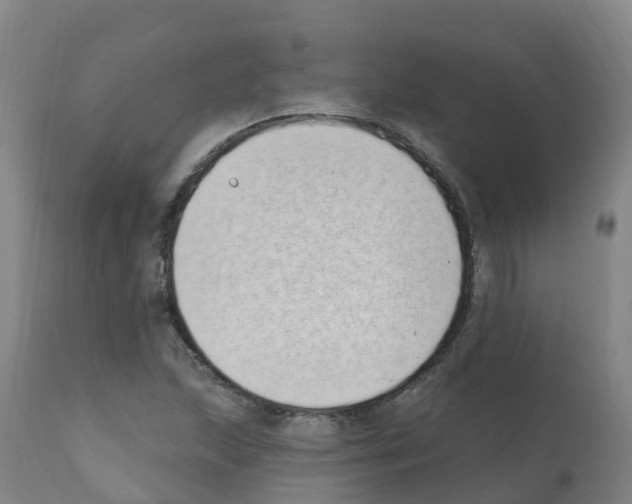 X0000112391215200909241231