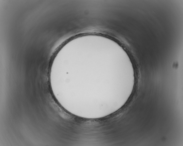 X0000112391216200909241231