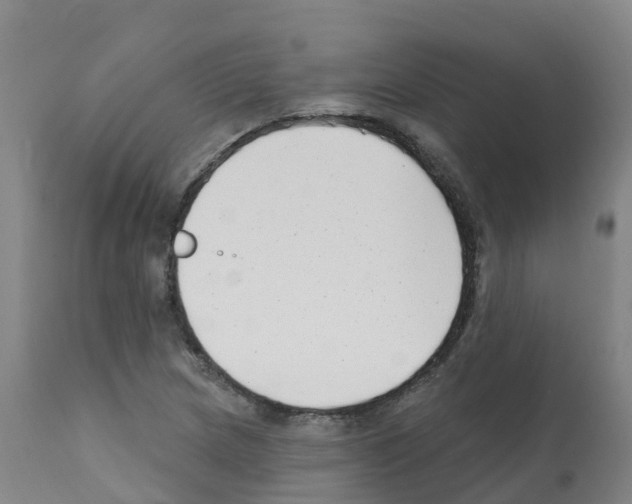 X0000112391217200909241231