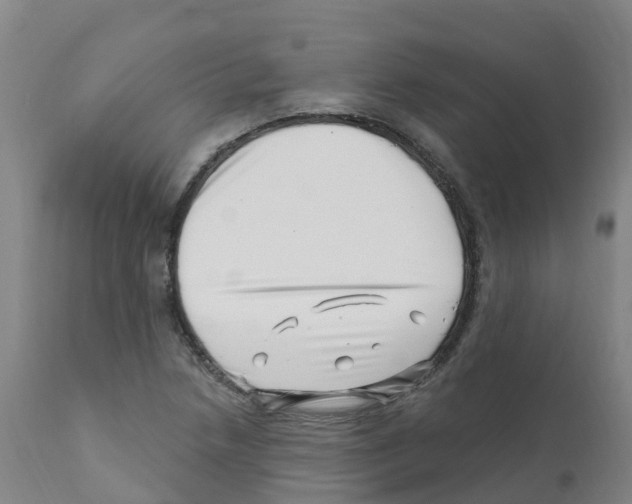 X0000112391218200909241231