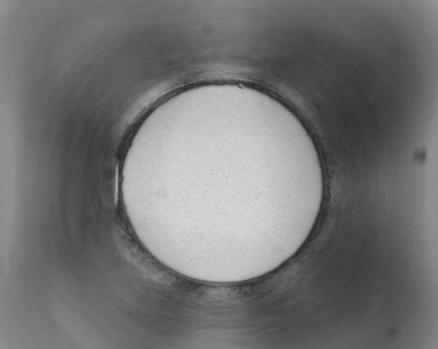 X0000112391219200909241231