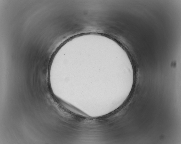X0000112391220200909241231