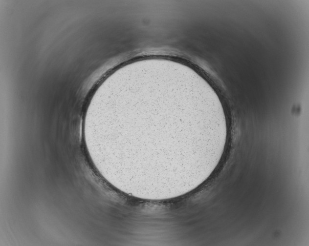 X0000112391221200909241231