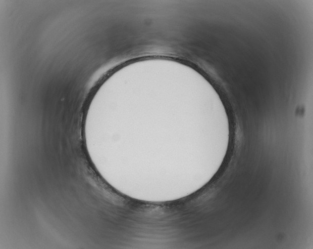 X0000112391222200909241231