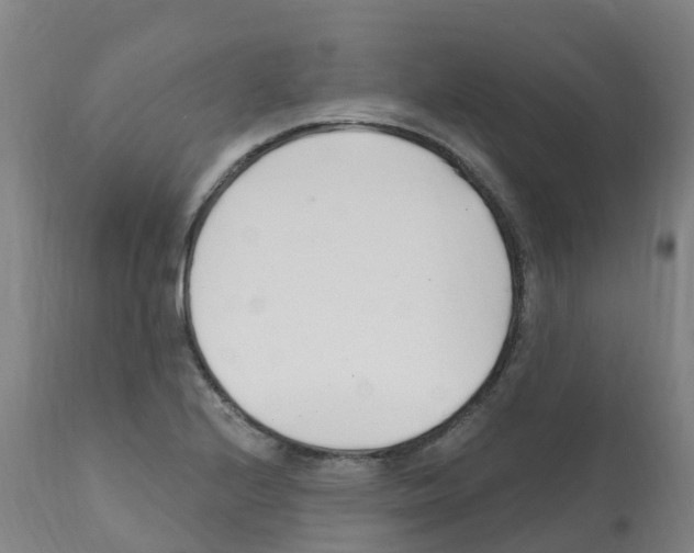 X0000112391224200909241231