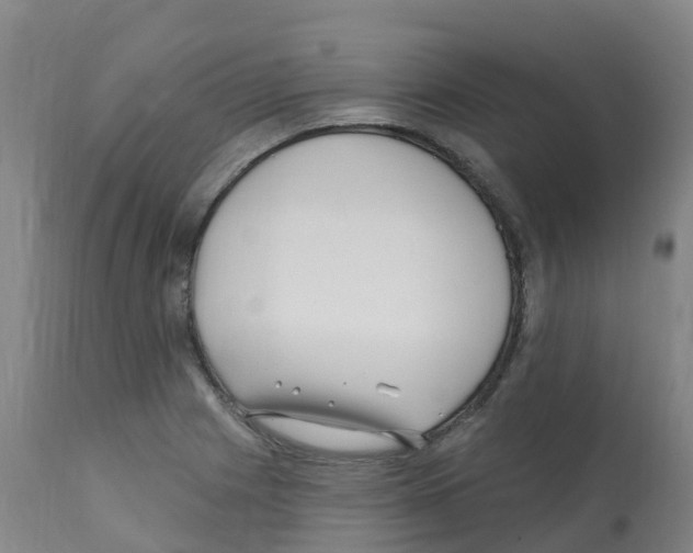 X0000112391225200909241231