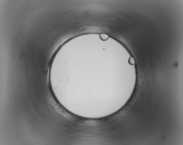 X0000112391227200909241231