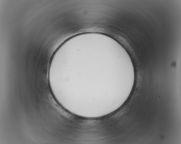 X0000112391228200909241231