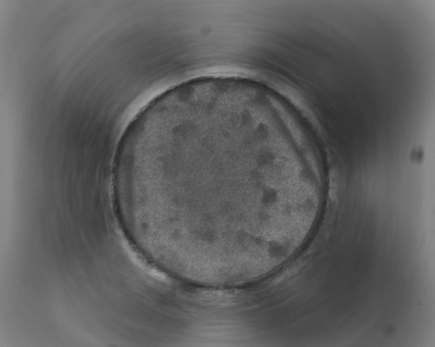 X0000112391229200909241231