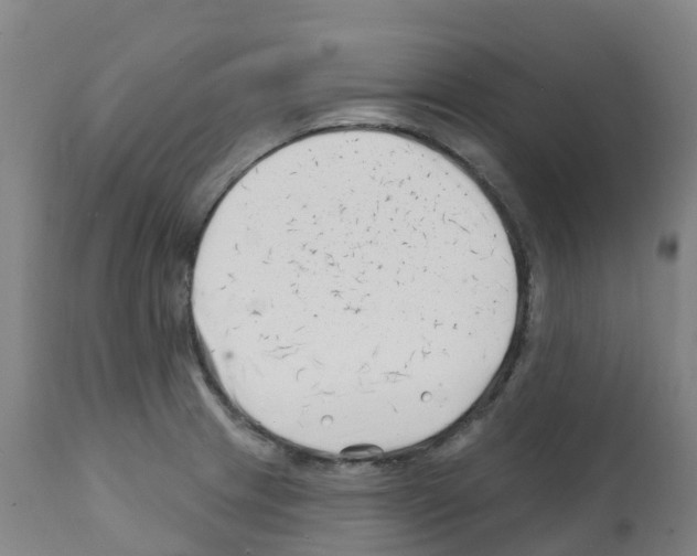 X0000112391233200909241231