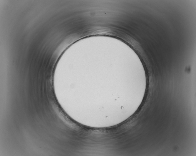 X0000112391234200909241231