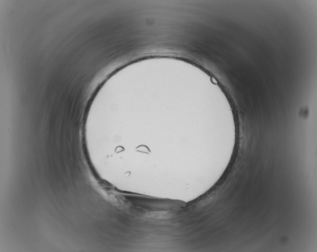X0000112391237200909241231