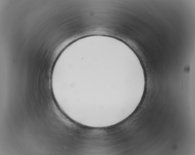 X0000112391238200909241231