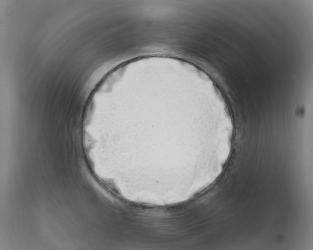 X0000112391239200909241231