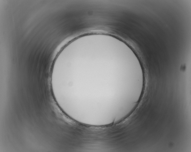 X0000112391240200909241231