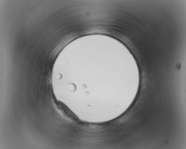 X0000112391241200909241231