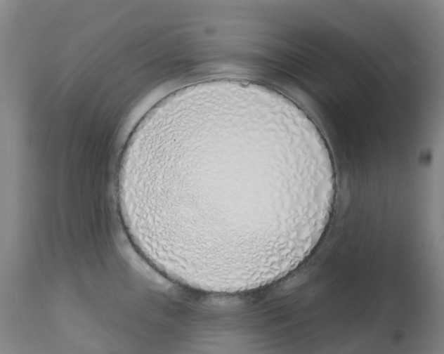 X0000112391243200909241231