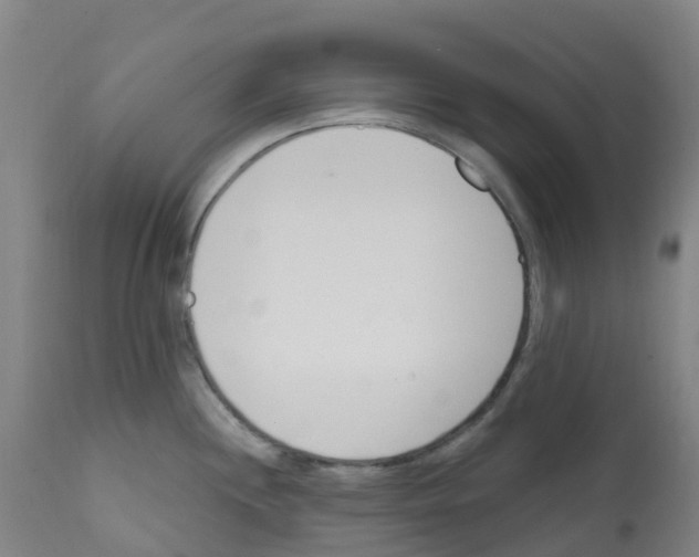X0000112391244200909241231