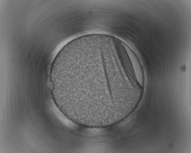 X0000112391246200909241231