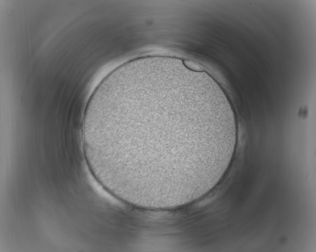 X0000112391247200909241231