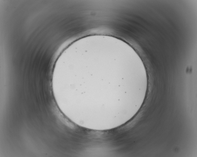 X0000112391248200909241231