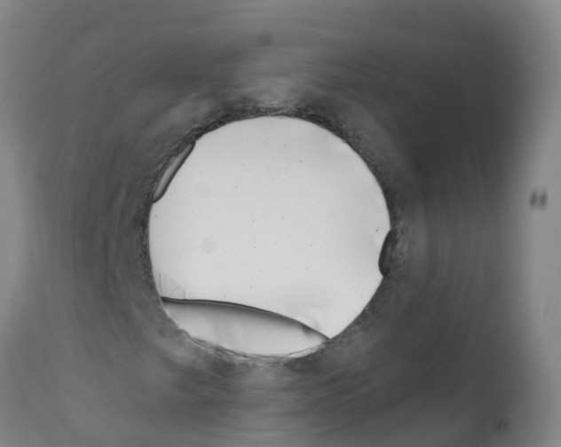 X0000112391249200909241230
