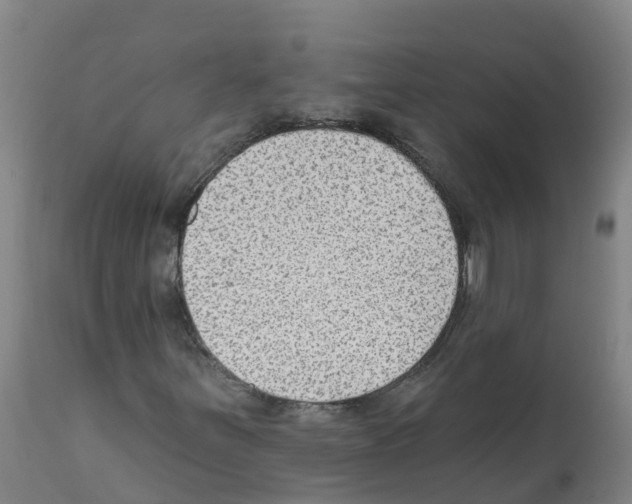 X0000112391251200909241230