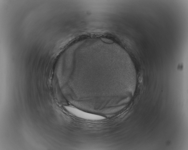X0000112391252200909241230