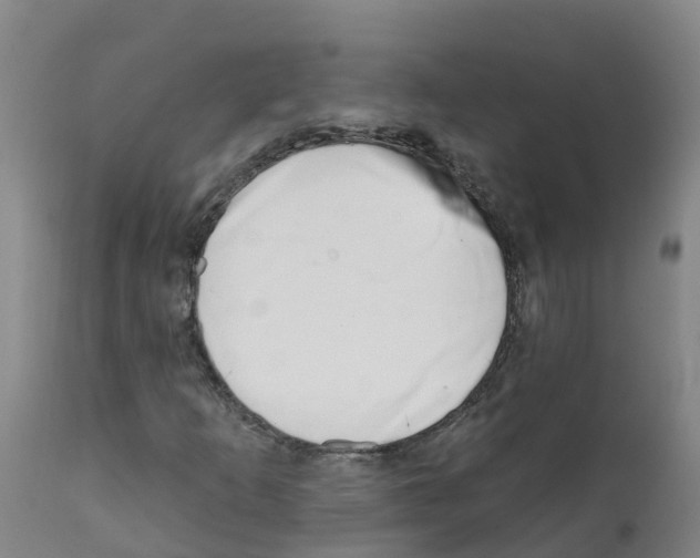 X0000112391253200909241230