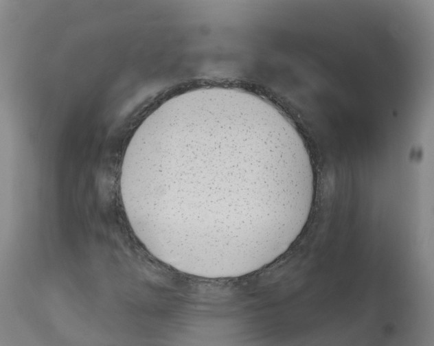 X0000112391254200909241230