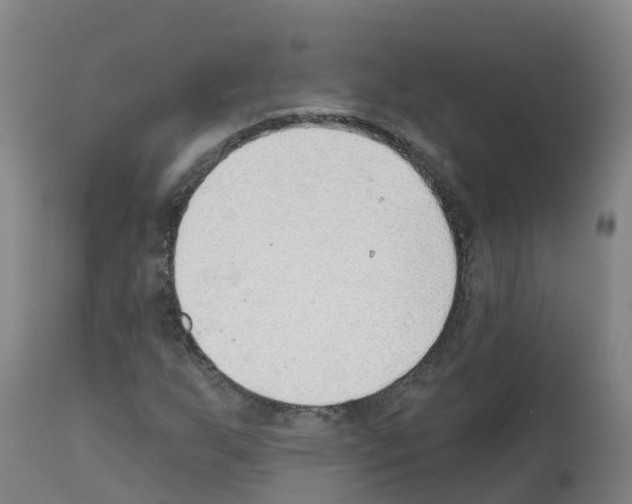 X0000112391255200909241230