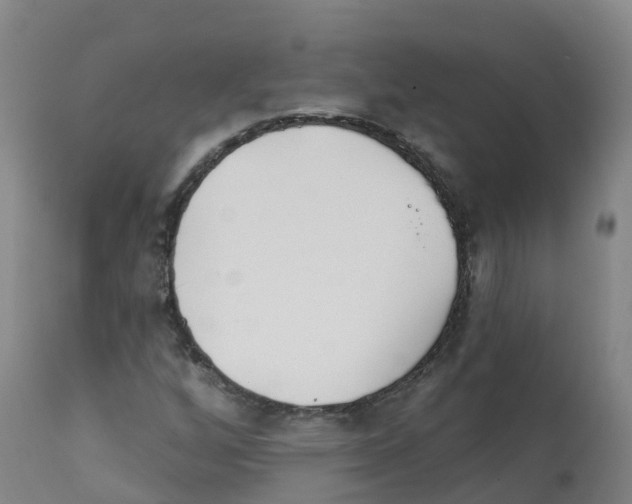 X0000112391256200909241230