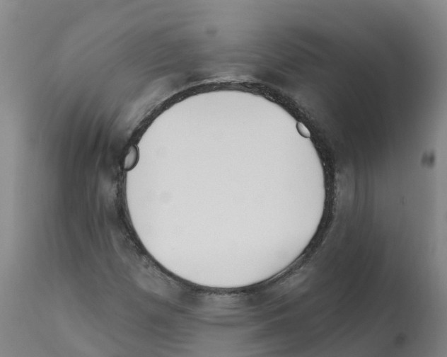 X0000112391257200909241230
