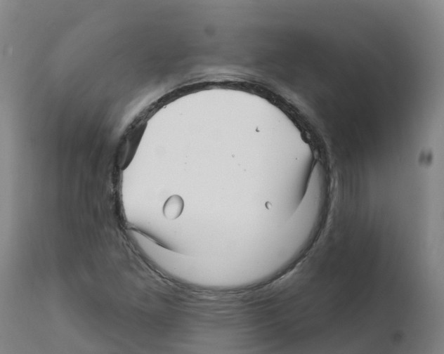 X0000112391261200909241230