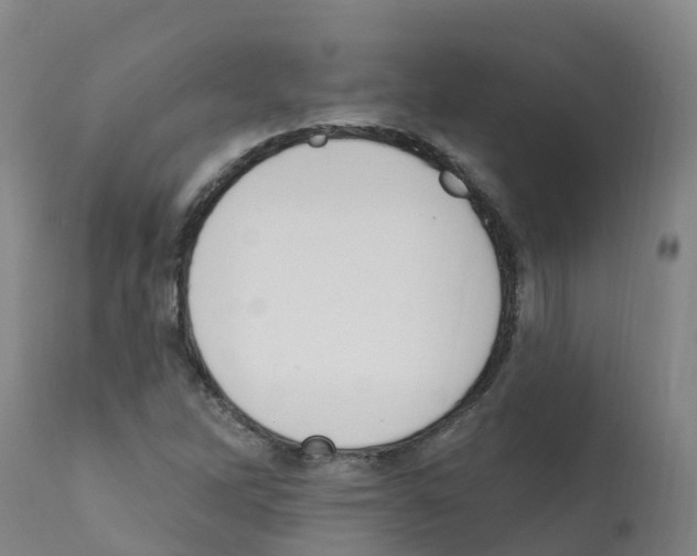 X0000112391262200909241230
