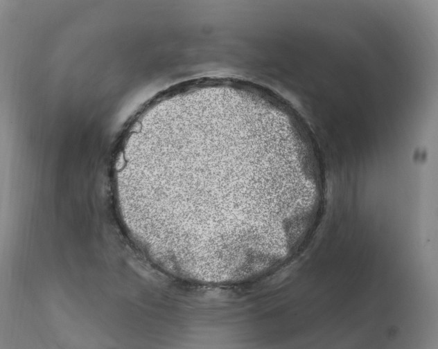 X0000112391263200909241230