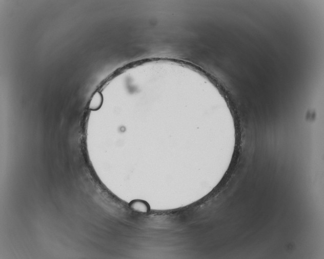 X0000112391264200909241230