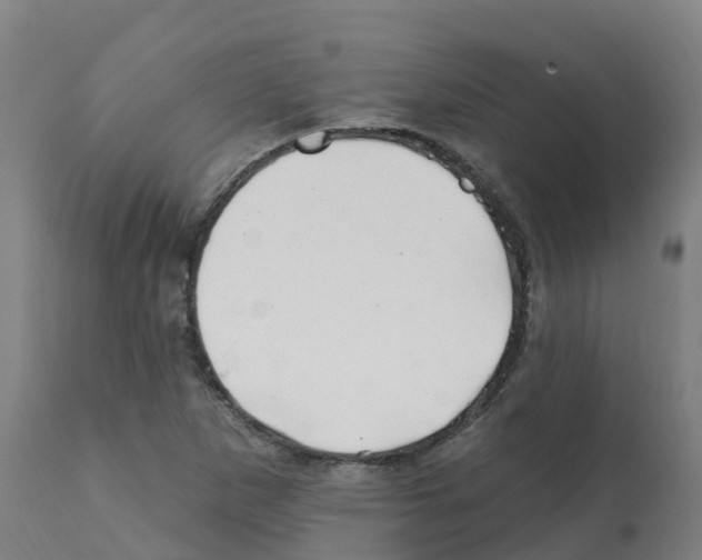 X0000112391265200909241230