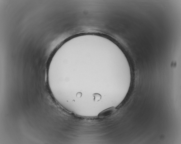X0000112391269200909241230