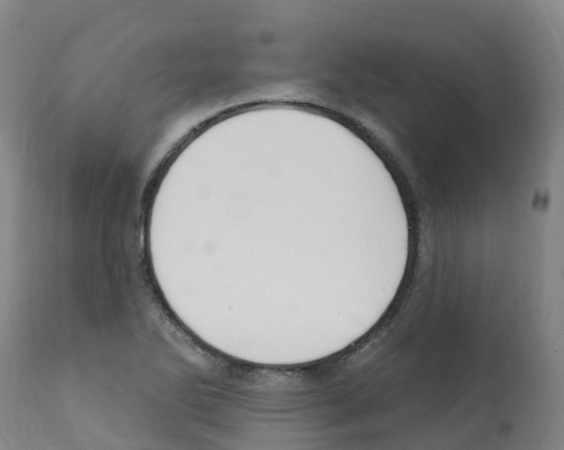 X0000112391270200909241230