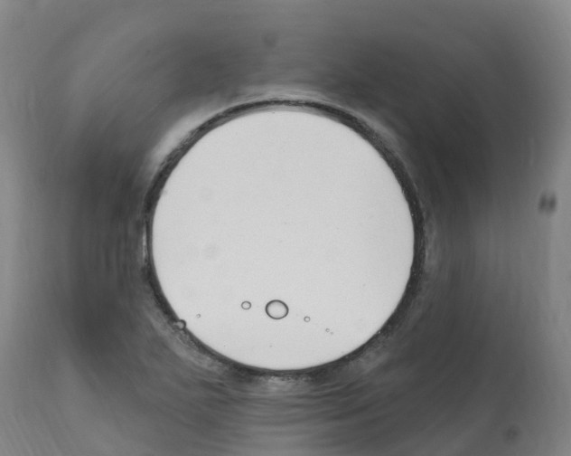 X0000112391271200909241230