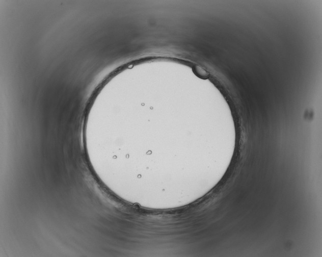 X0000112391272200909241230