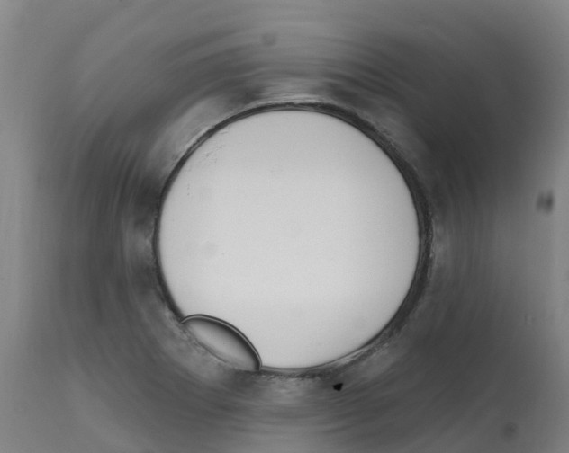 X0000112391273200909241230